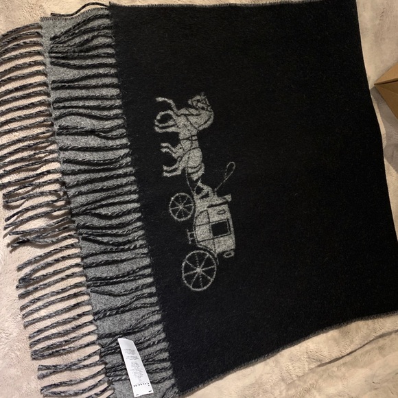 NWT Coach Scarf looks like Hermes - Picture 3 of 6